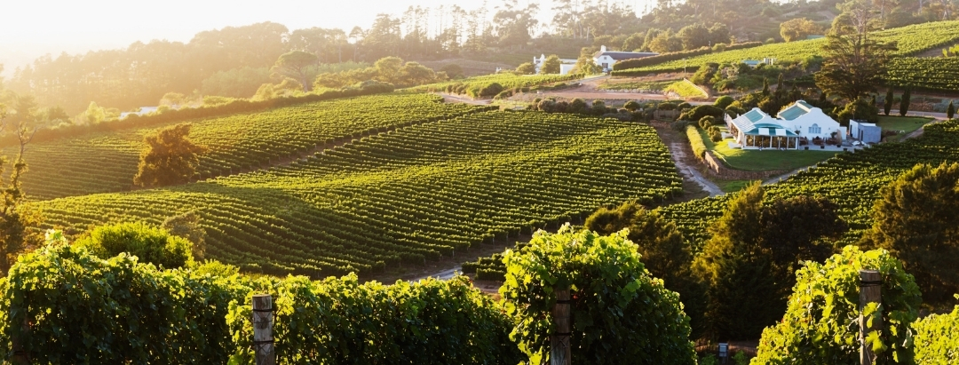 Constantia, Cape Town - wine valley homes and estates