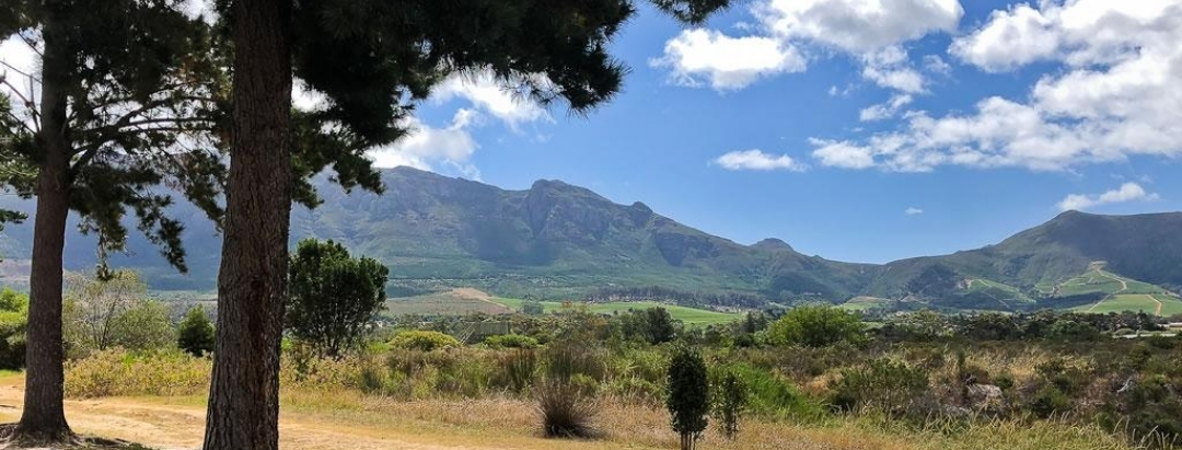 Tokai, Cape Town - forest and mountain homes