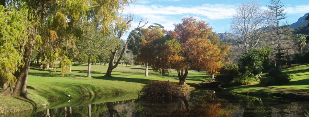Wynberg Upper, Cape Town